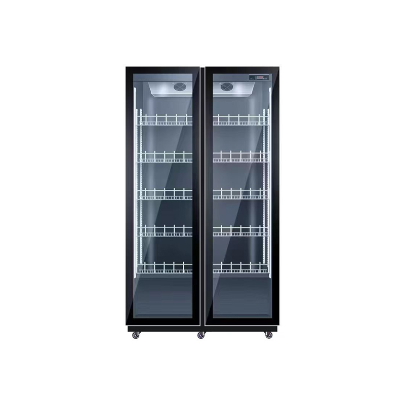 Double Door Air Cooling Refrig - đánh giá và giá Wine Beer Dual Zone